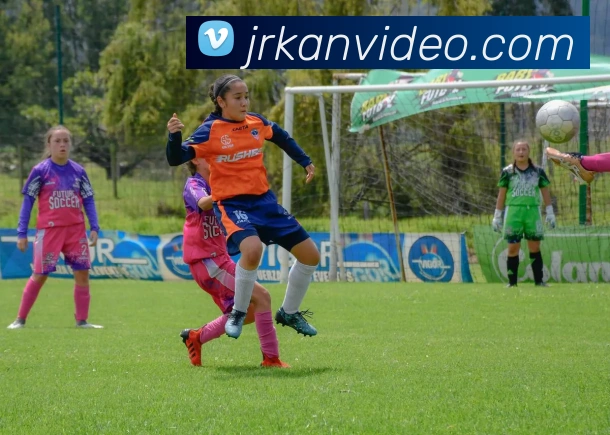 jrkan直播平台生态图